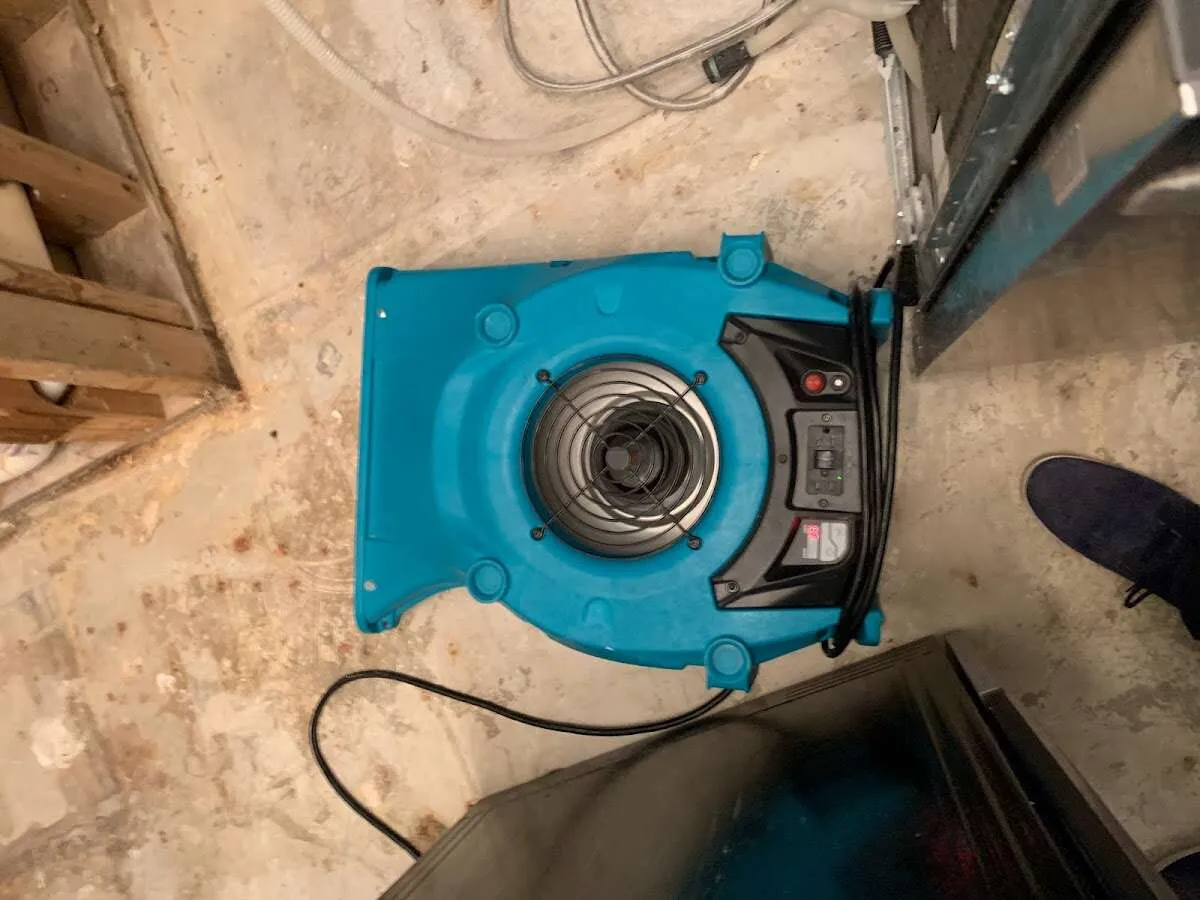 Air mover drying equipment for Mold Remediation & Removal in Tavares