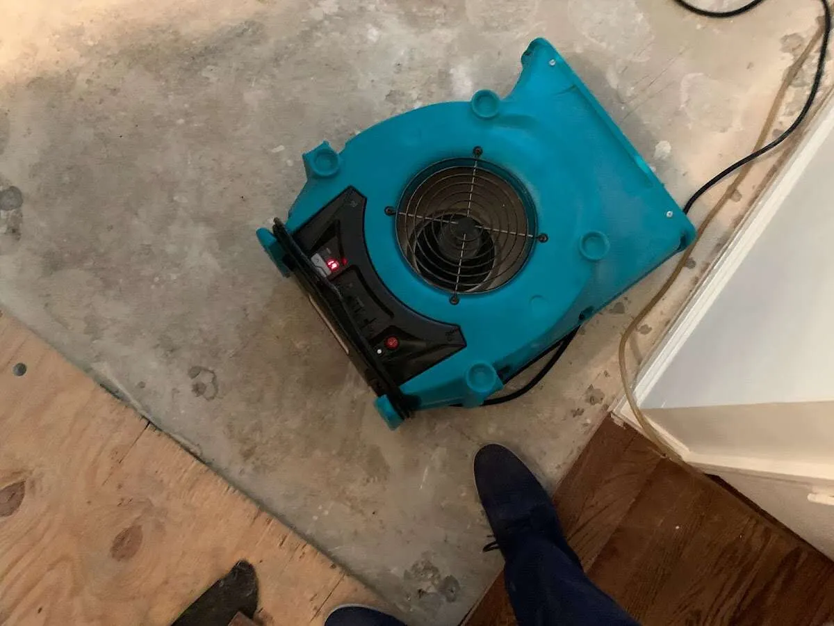 Air mover drying subfloor during Commercial Water Damage Restoration in Tavares